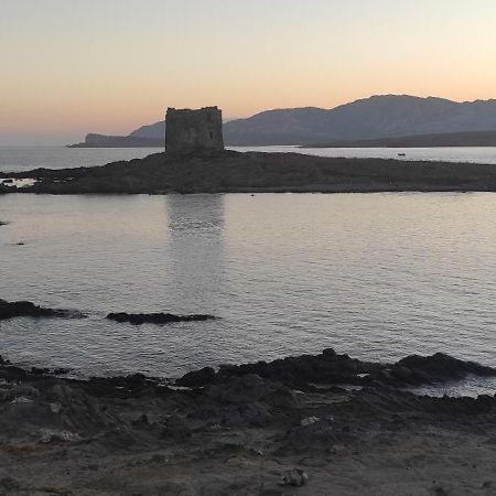 Via Carru E Frau Διαμέρισμα Stintino Εξωτερικό φωτογραφία