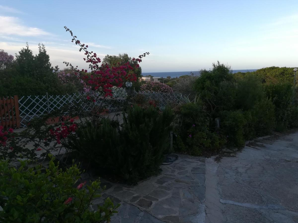 Via Carru E Frau Διαμέρισμα Stintino Εξωτερικό φωτογραφία